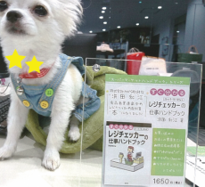 今日のみくさん