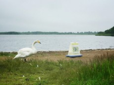 ウトナイ湖