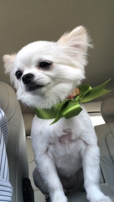 このへたくそぉ!